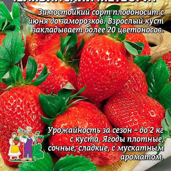 Семена клубники и земляники, купить в интернет магазине Купить -Семена-Почтой.рф